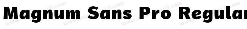 Magnum Sans Pro Regular字体转换